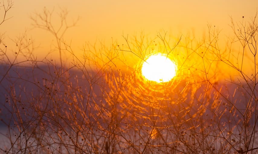 Haarausfall durch Hitze