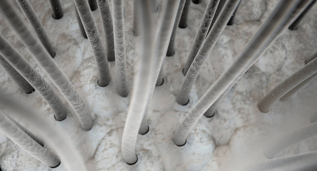 il est important de détoxifier ses cheveux des produits chimiques qui nous entourent au quotidien