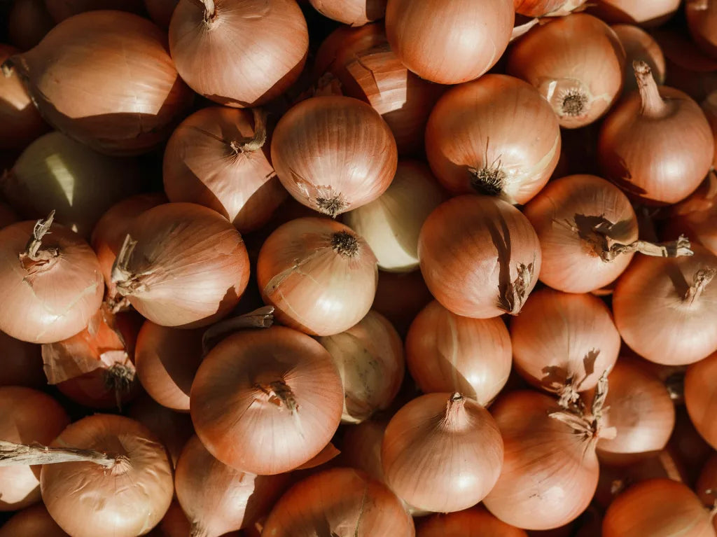découvrez comment utiliser l’oignon pour vos cheveux