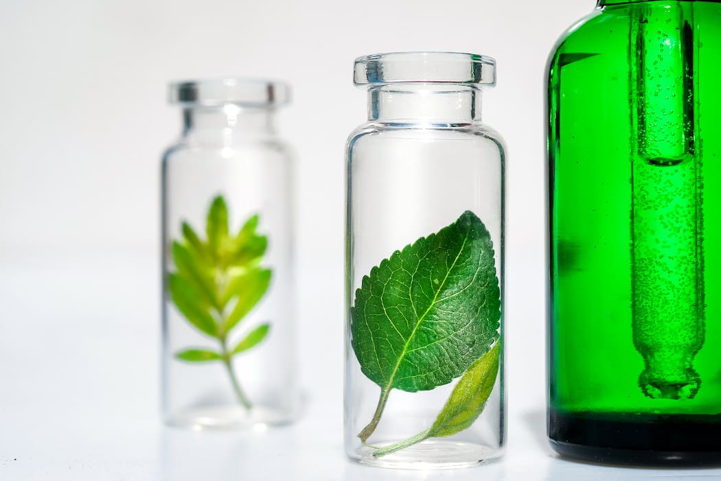 Pflanzliche Haarpflege: Haare schonend und natürlich pflegen