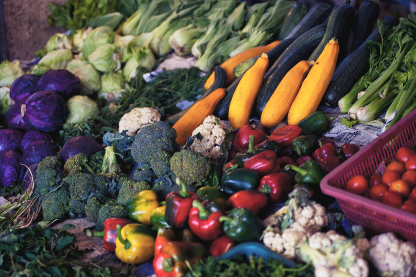 what are the foods that prevents hair loss