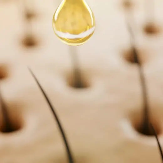 Le cycle de croissance des cheveux