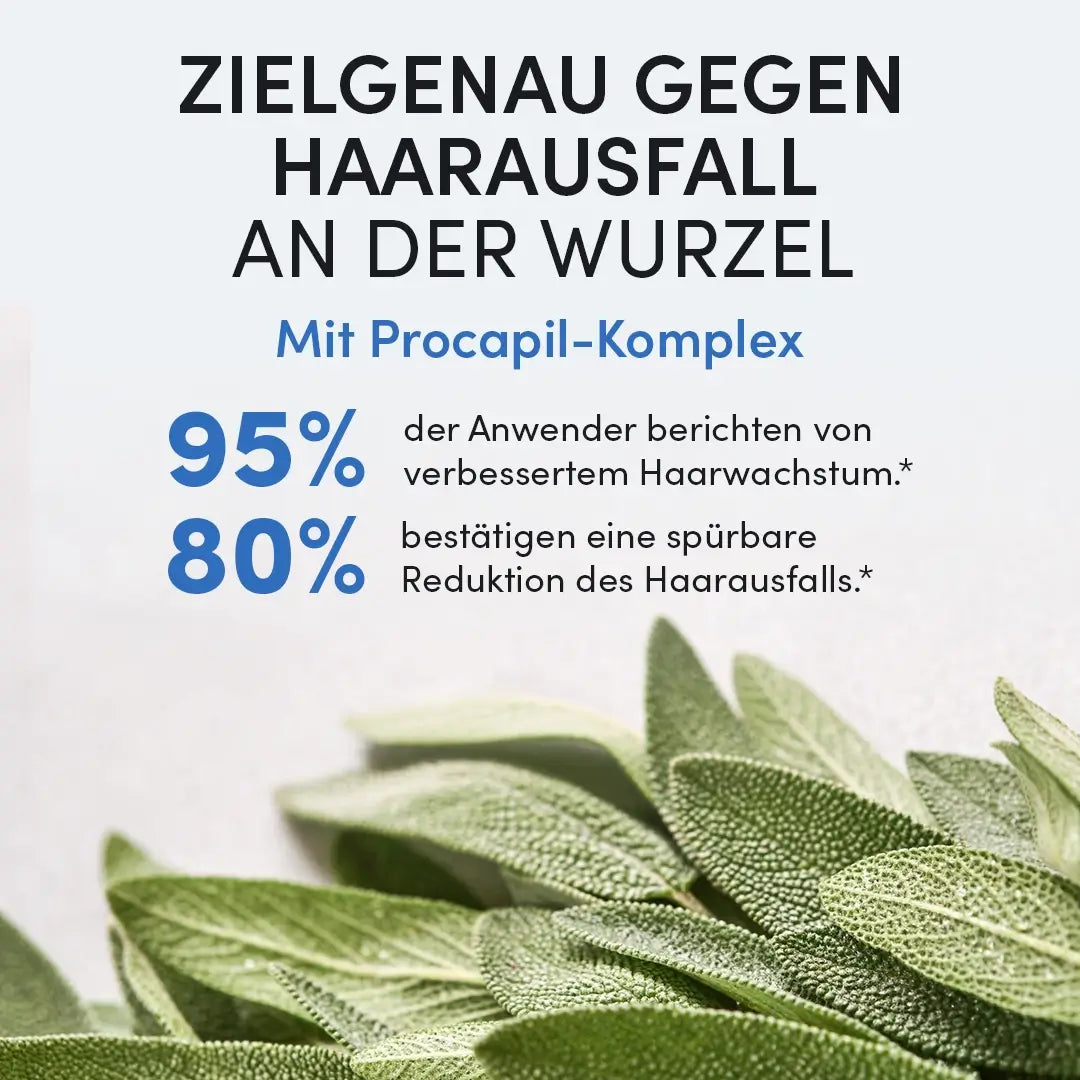 Der deutsche Text wirbt für das Dr. Balwi Shampoo des Dr. Balwi Shops gegen Haarausfall und gibt an, dass 95 % ein gesünderes Haarwachstum und 80 % weniger Haarausfall erfahren. Salbeiblätter erscheinen darunter. Der Text hebt den Inhaltsstoff Procapil Complex hervor.