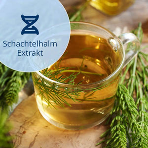 Das pflanzliche Multitalent für kräftiges Haar
