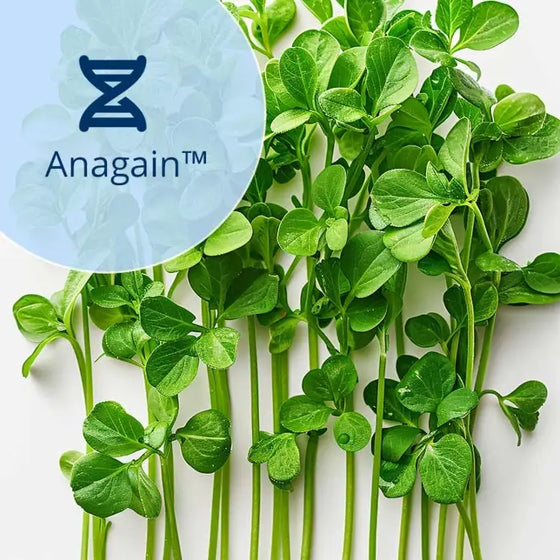 Comment nous combattons la chute des cheveux